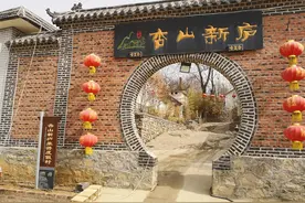 又是一年杏花时——博山朱南村杏山新庐图片