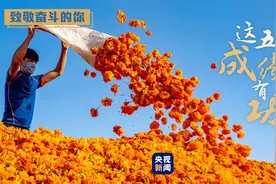 致敬奋斗的你丨这五年的成绩单，有你的功劳图片