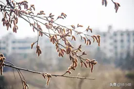 徐小明：周一操作策略图片