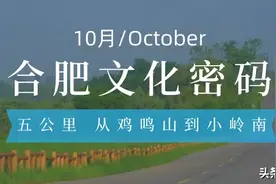 安徽合肥：从鸡鸣山到小岭南，解锁千年文化密码图片