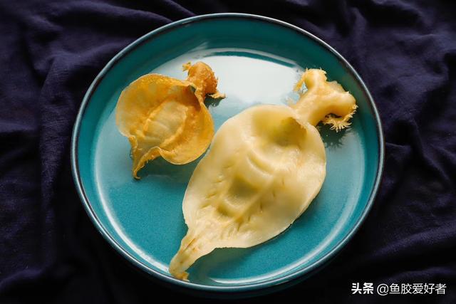 花胶炖烂怎么办 2026年花胶炖烂了怎么办