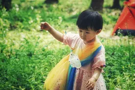 拍娃素材太多怎么储存？分享老母亲的“笨”办法图片