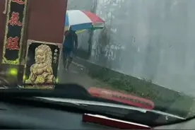 山东一女子回娘家过节遇大雨，弟弟撑大伞迎接，网友：公主的待遇图片