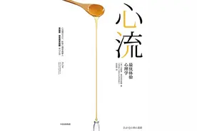 豆瓣8.3《心流》：幸福方法论的背后，藏着对生命意义的哲学思考图片