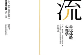 豆瓣8.3《心流》：幸福方法论的背后，藏着对生命意义的哲学思考图片