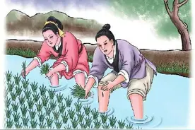 蚂蟥与谷种的传说图片
