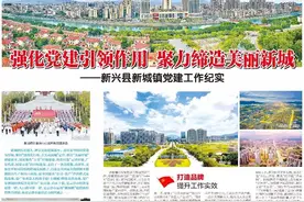 献礼百年华诞​ | 新兴县新城镇：强化党建引领作用 聚力缔造美丽新城图片