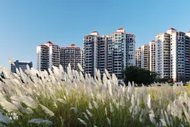 跟三亚比，海南东方市东北人越来越多，网友说：过冬养老比三亚好图片