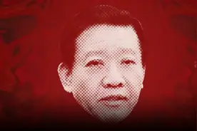 葵花药业原董事长“杀妻”被判11年，仍掌控86亿上市公司图片