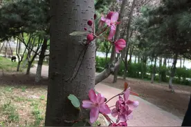 王德峰老师讲座（三）《中国哲学的人生境界》图片