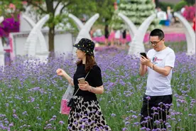 5·20  在成都漫花庄园“为爱踏出第一步”图片