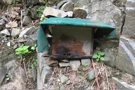 山上投放的诱蜂箱图片