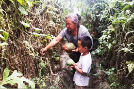 产业有特色 风景可怡情 民俗重内涵   离石区：美丽乡村乡韵滋味浓图片