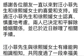 汪小菲大S发布离婚声明 ​​​：将继续共同抚养孩子图片