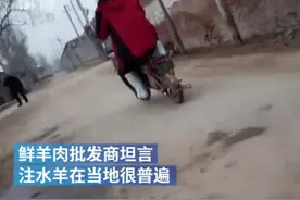 假冒伪劣兽药饲料、卖猪骗局、活羊灌水！315警惕畜牧业五大坑图片