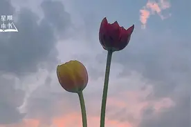 三观不合，到底是哪三观？图片