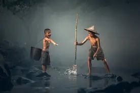 100种 · 户外常见植物，让孩子与自然相遇图片