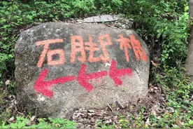 #小镇教师的日常记录#2021·10·23图片