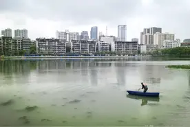 武汉，你醒啦！？图片