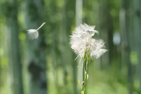 悦读 | 真正的成功，就是能陪父母吃很多很多顿饭图片