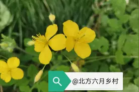 等闲变却故人心（之二）图片