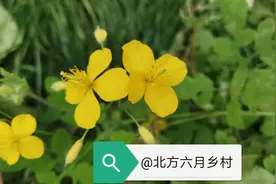 等闲变却故人心（之二）图片