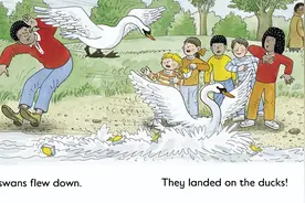 绘本分享：The duck race（鸭子比赛）「悦宝园故事」图片