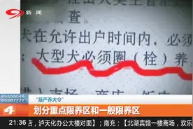 “最严养犬令”：遛狗不牵绳，最高可罚款1000元视频封面