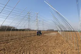 战疫情保春耕，西安高新区东大街道全力保障农业生产有序开展图片