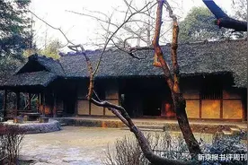 杜甫与燕子：鸟鸣叫响了春天｜周末读诗图片