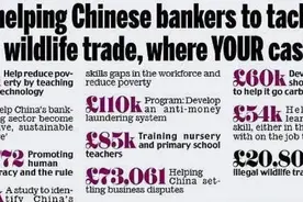 英国一年援助中国7130万英镑引起热议，专家：媒体偷换概念图片