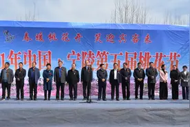 宁陵县举办第五届桃花节图片