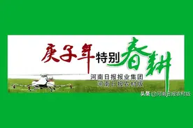 光山县凉亭乡：茶产业带动大脱贫图片