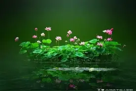 佛说：有一种命中注定，叫无可奈何。图片