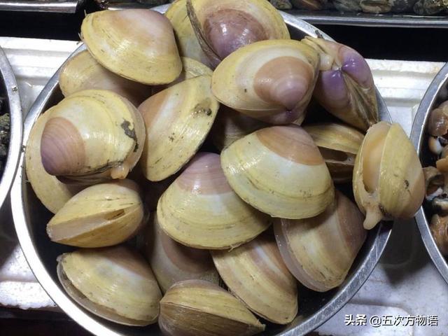 六耳赤嘴鱼胶有收藏价值吗 2026年六耳赤嘴鱼胶的功效和作用