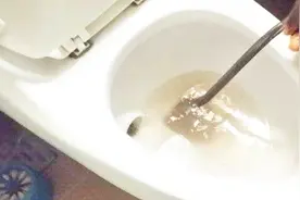网传：小苏打加白醋可以疏通下水管道 是真是假？视频封面