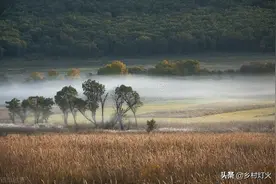 俄罗斯远东地区那么多土地，咱们能不能过去种地？图片