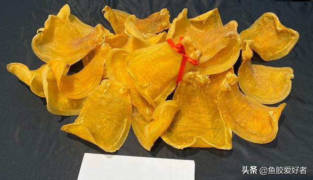 赤鱼胶是什么鱼的胶 2026年赤鱼胶的营养价值及功效