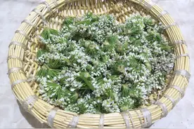 腌韭菜花酱，教你详细做法，3天能腌好，香气浓郁又下饭图片