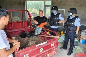 猫头鹰受伤被挂铁丝网！别急，已被成功救助图片