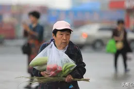 买菜还要大包小包拎回家？中老年用正合适用的买菜神器，不拎不提图片