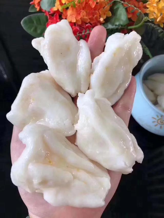 我的花胶牛奶怎么结冰块了 2026年花胶牛奶冻为什么会凝固