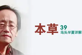 乌头、半夏详解39集图片