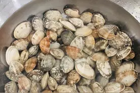 挑选花甲有妙招，会伸“舌头”的花甲，才是好花甲图片