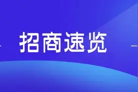 招商速览 | 步履不停！县区长在行动图片