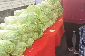 跟车装卸大白菜，260一天，这个活值得干吗？图片