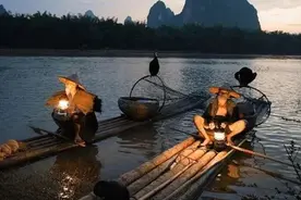 捕鱼不用钩不用网，全靠“鱼鹰”用嘴叼图片
