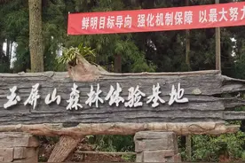穿越川粤·眉梅与共丨梅州采访团“穿越”眉山最后一天：这美景，再看一眼就沦陷了图片
