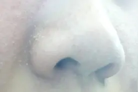 到底是先拍水还是先擦乳液？这招告诉你正确用法，护肤事半功倍视频封面