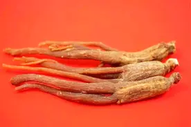 西洋参是一种名贵药材，能保护心脑血管，但有一类人不能吃视频封面